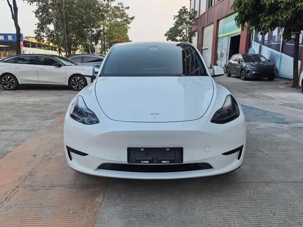 Tesla Model Y — фото 2