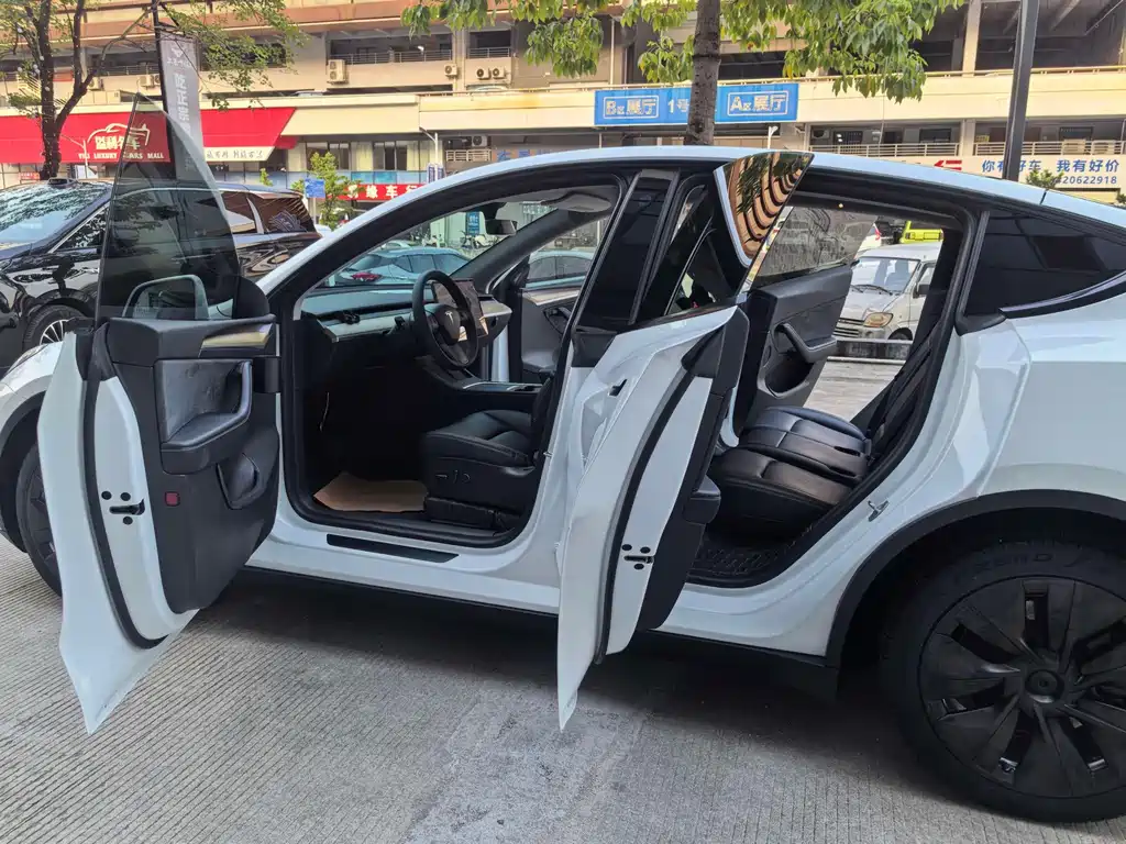 Tesla Model Y — фото 18
