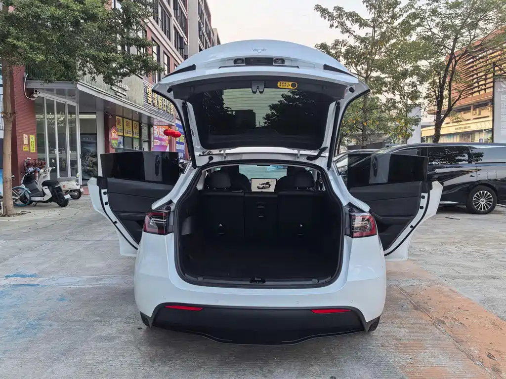 Tesla Model Y — фото 19