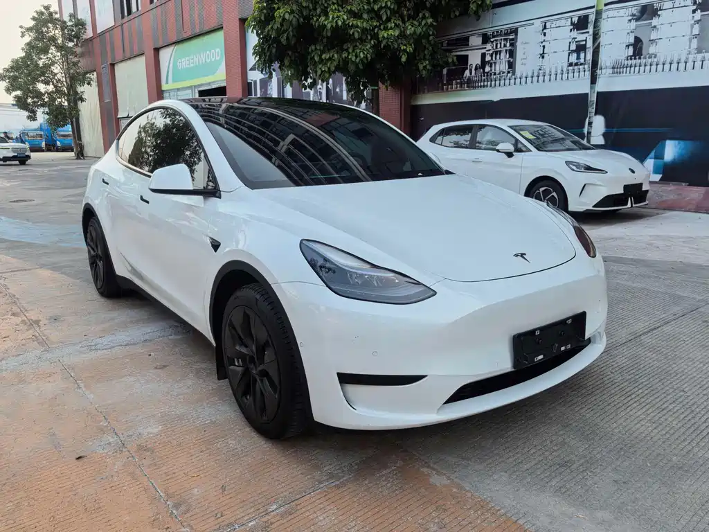 Tesla Model Y — фото 3