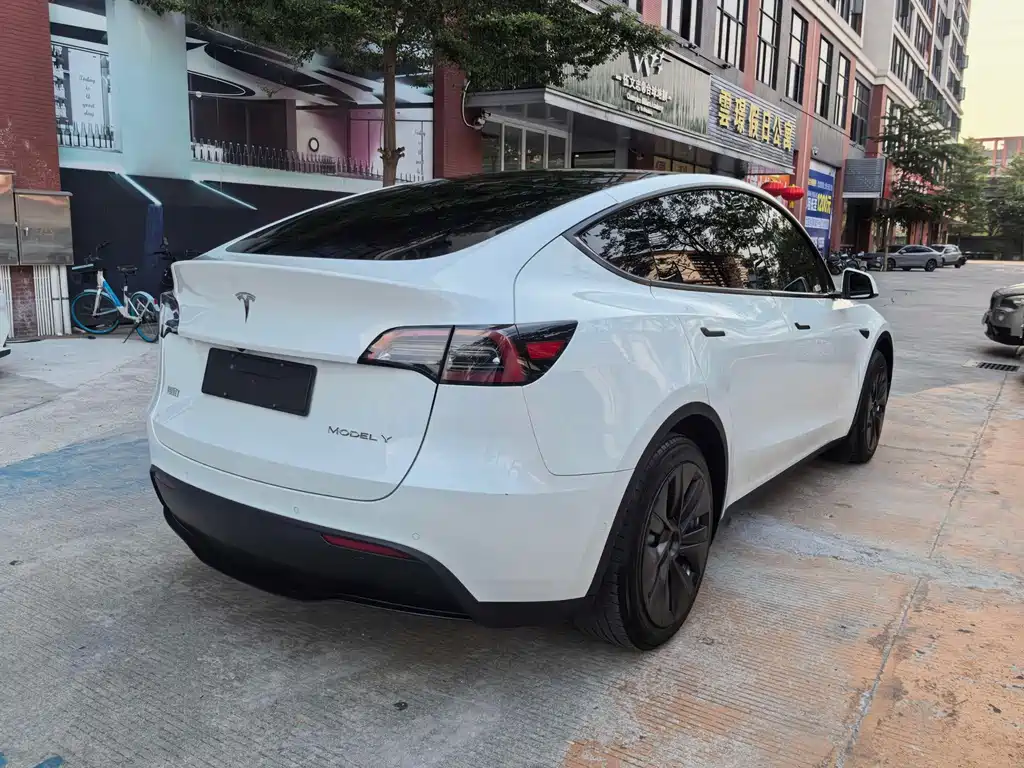 Tesla Model Y — фото 5