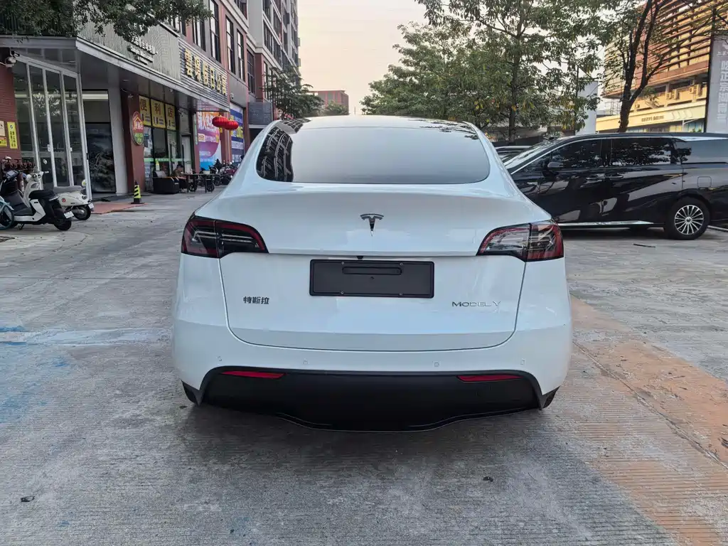 Tesla Model Y — фото 6