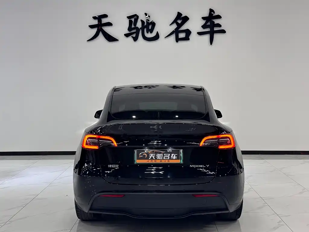 Tesla Model Y — фото 3