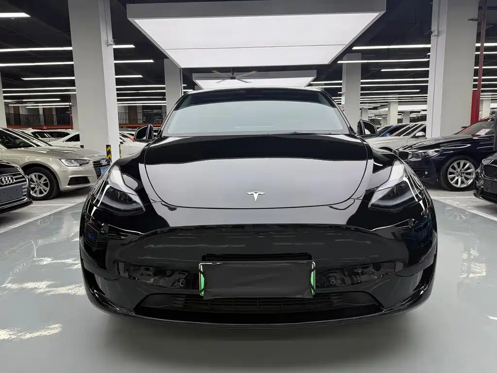 Tesla Model Y — фото 2