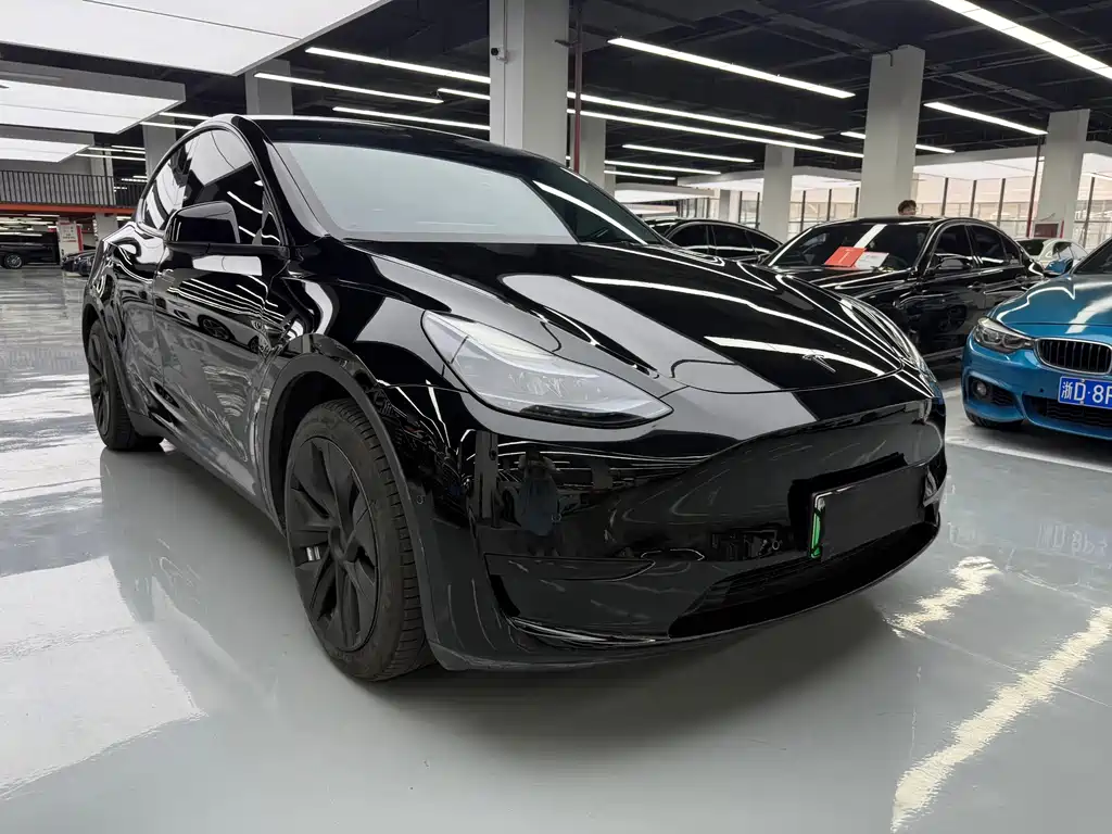 Tesla Model Y — фото 3