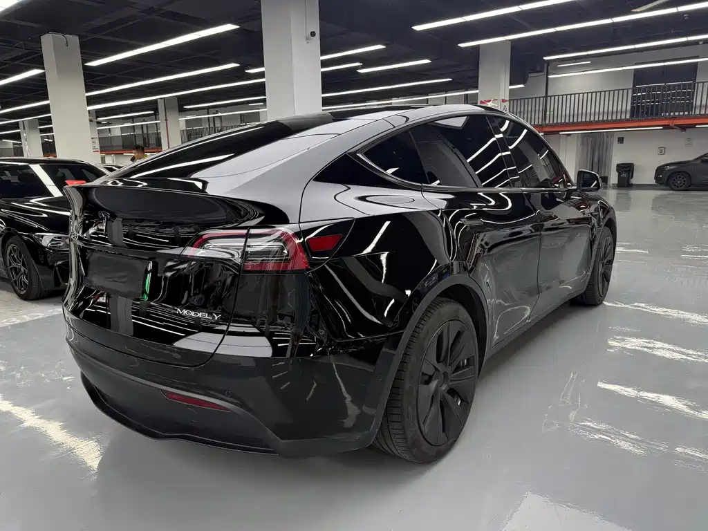 Tesla Model Y — фото 23