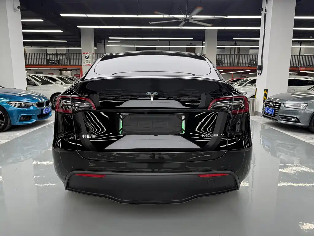Tesla Model Y — фото 24