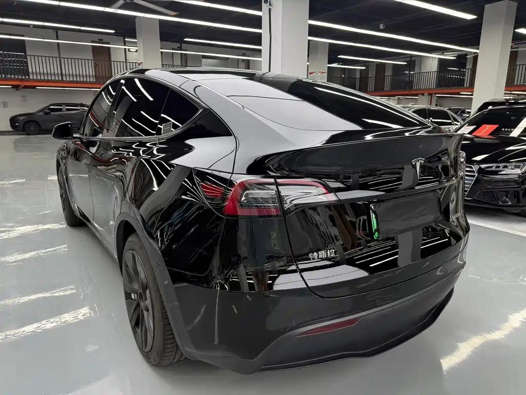Tesla Model Y — фото 25