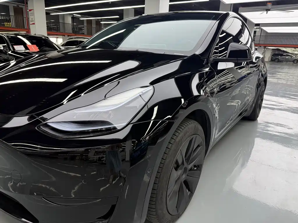 Tesla Model Y — фото 26