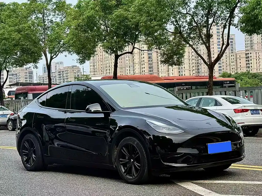 Tesla Model Y — фото 2