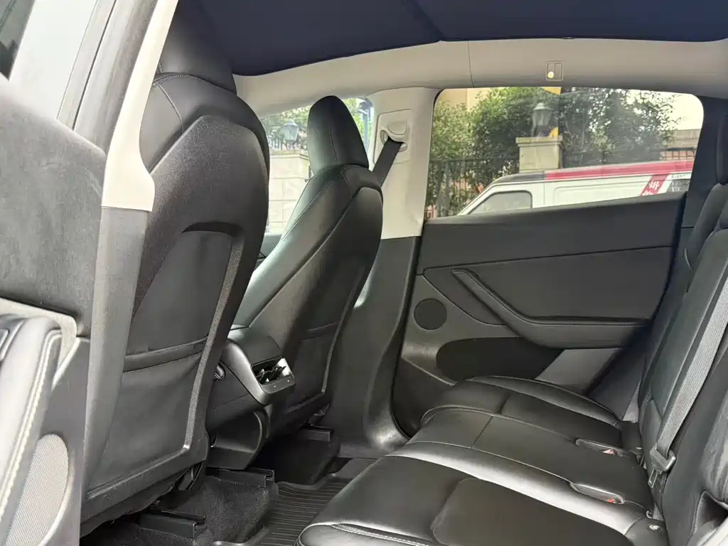 Tesla Model Y — фото 14