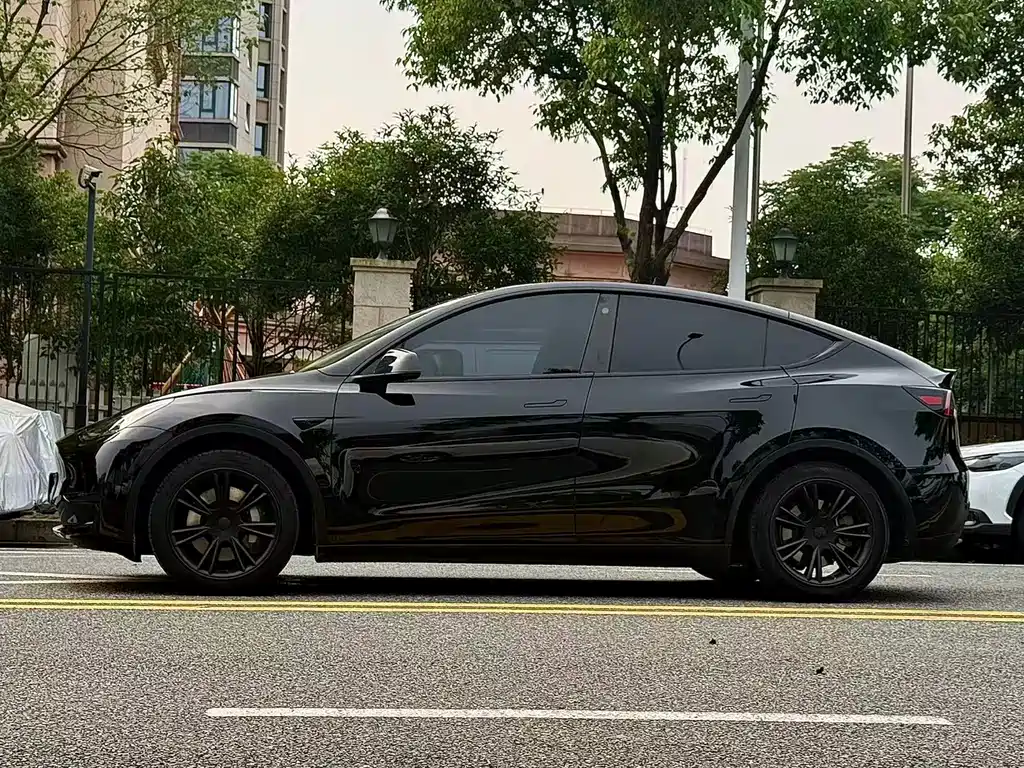 Tesla Model Y — фото 3