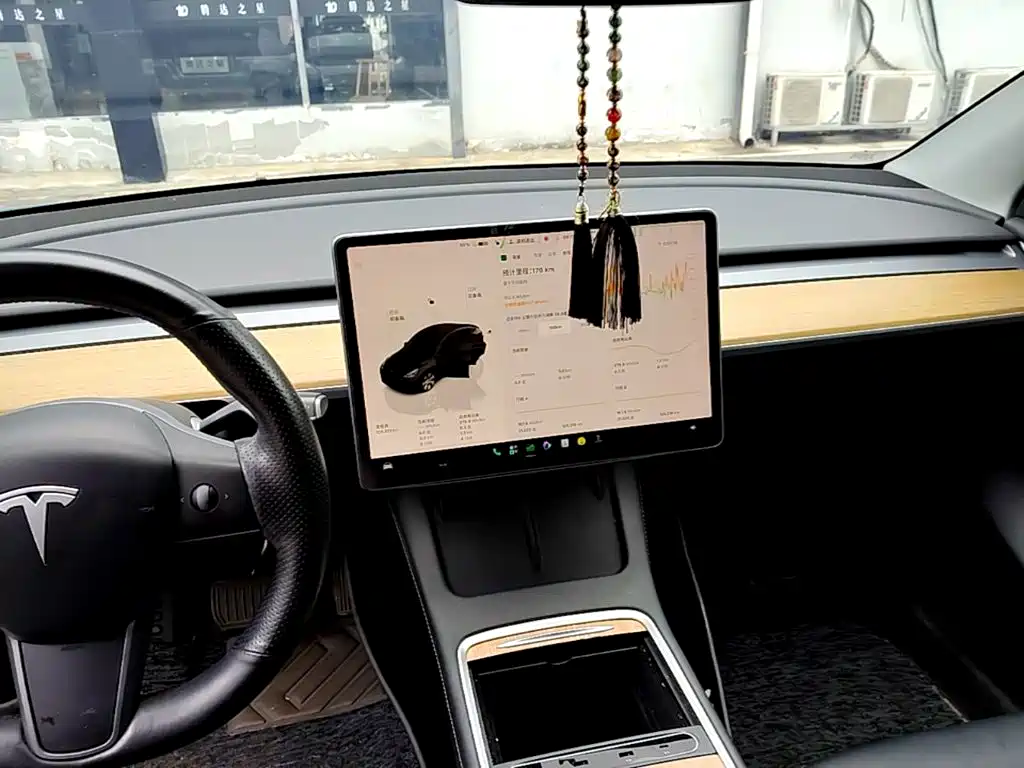 Tesla Model Y — фото 13