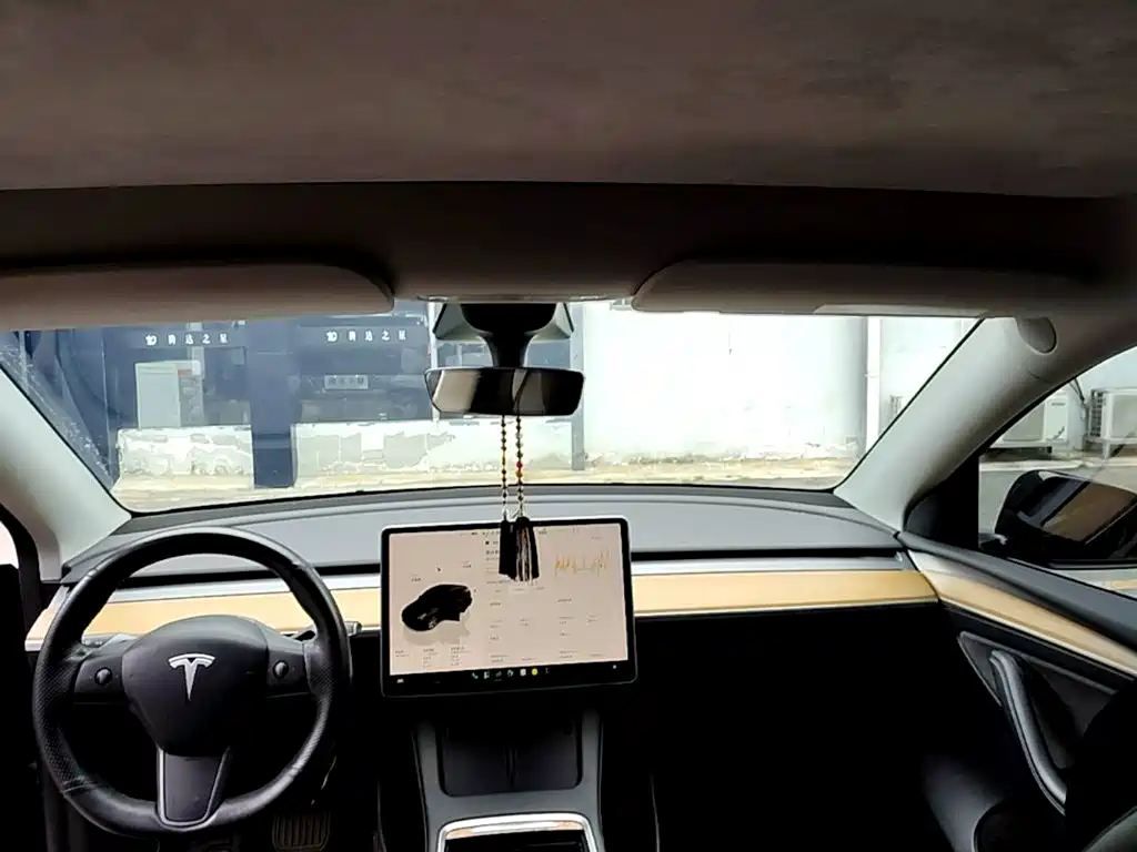 Tesla Model Y — фото 18