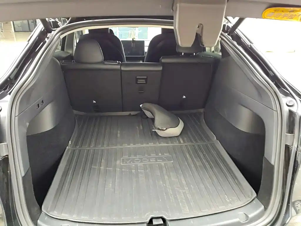 Tesla Model Y — фото 19