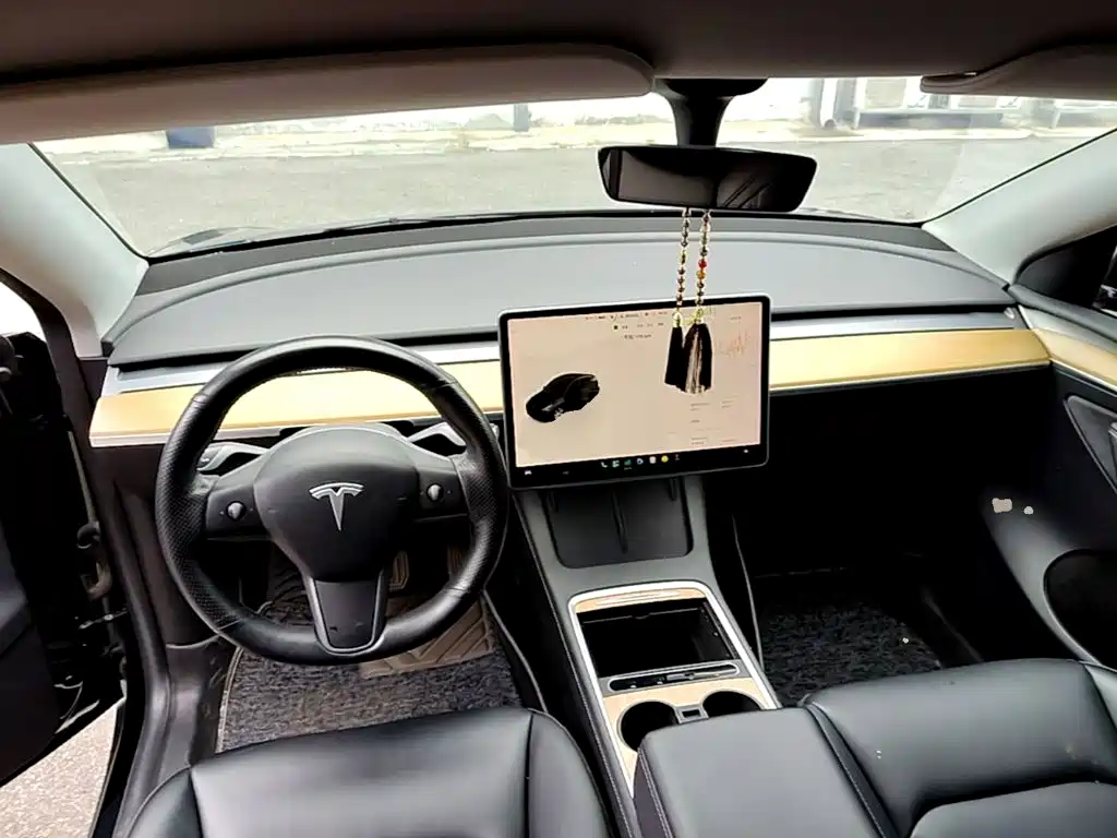 Tesla Model Y — фото 10