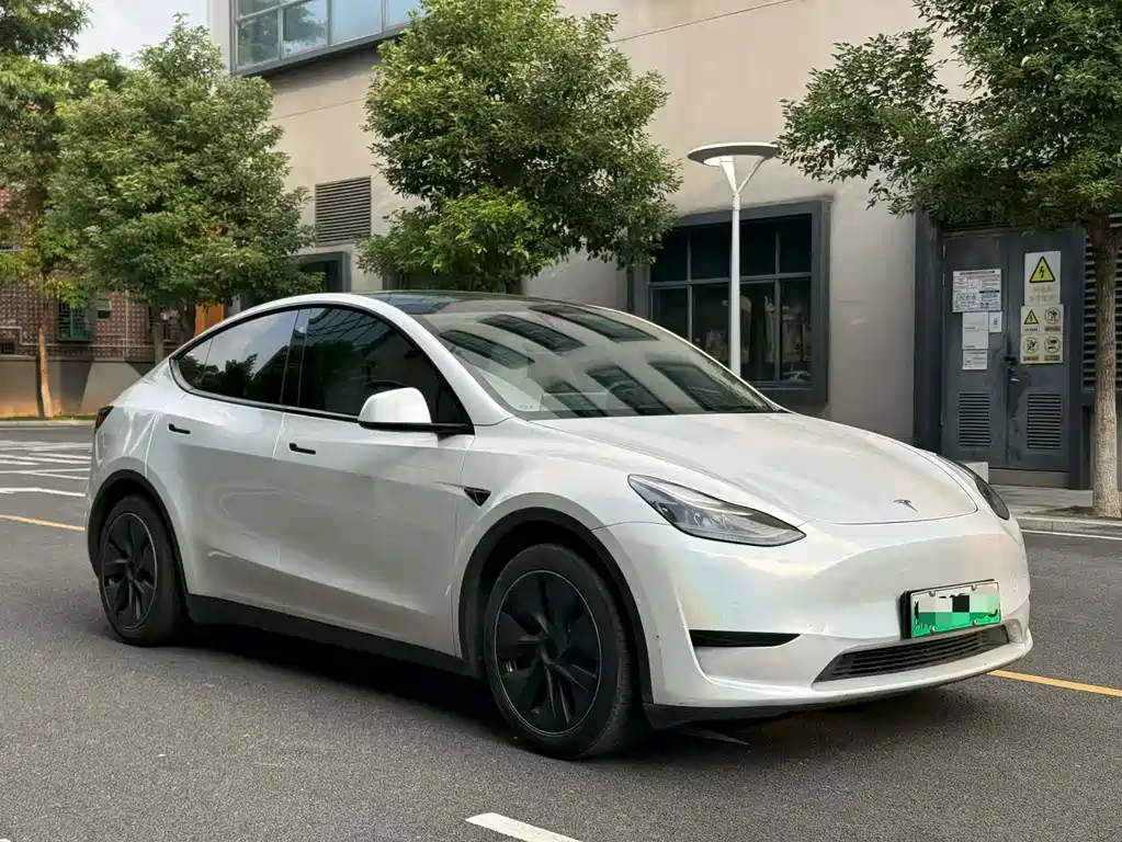 Tesla Model Y — фото 3