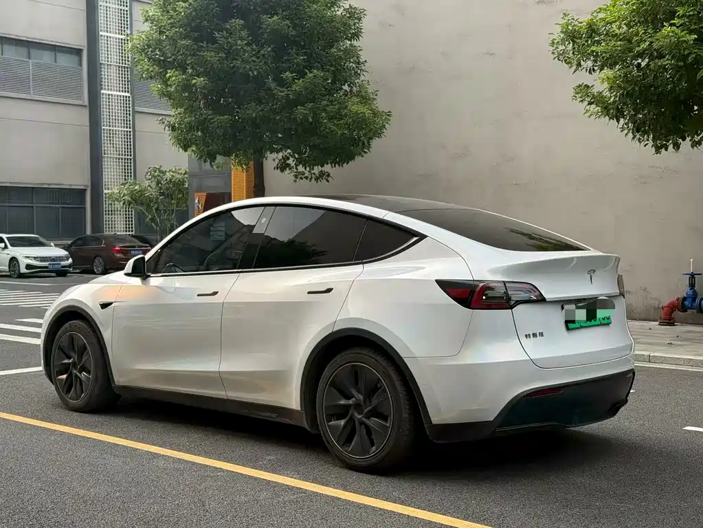 Tesla Model Y — фото 6