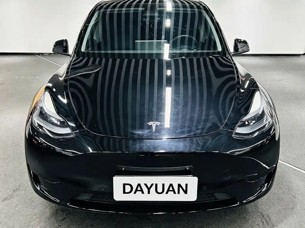 Tesla Model Y — фото 2
