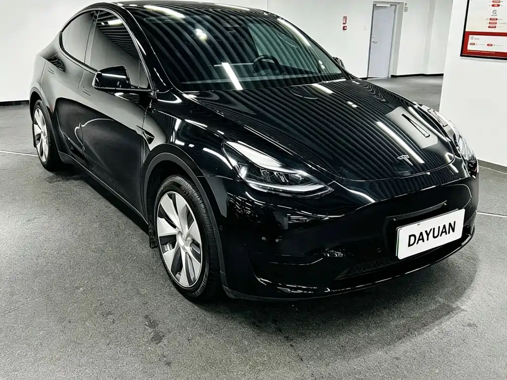 Tesla Model Y — фото 3