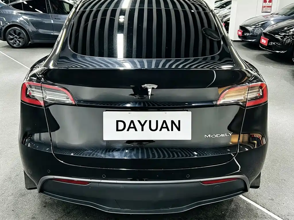 Tesla Model Y — фото 8