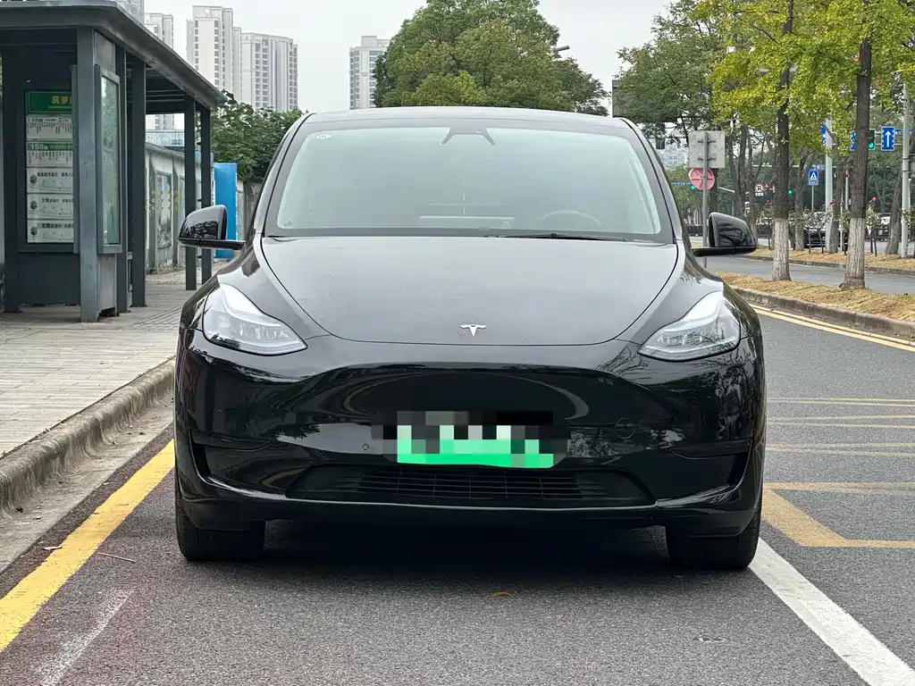 Tesla Model Y — фото 2