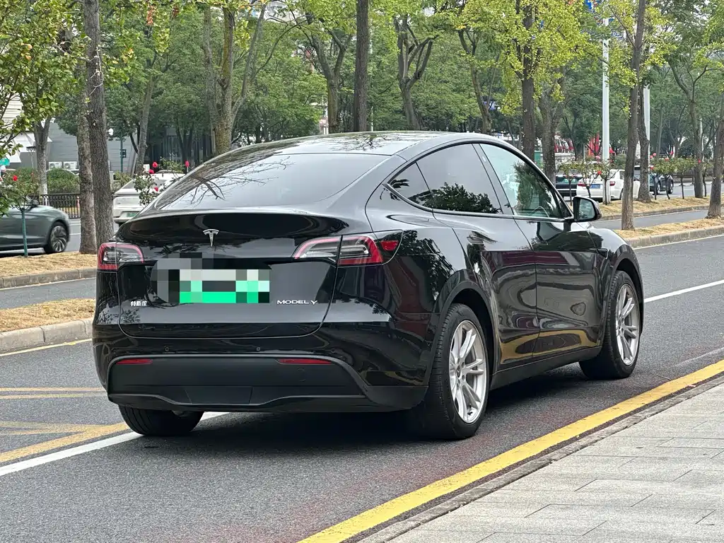 Tesla Model Y — фото 11