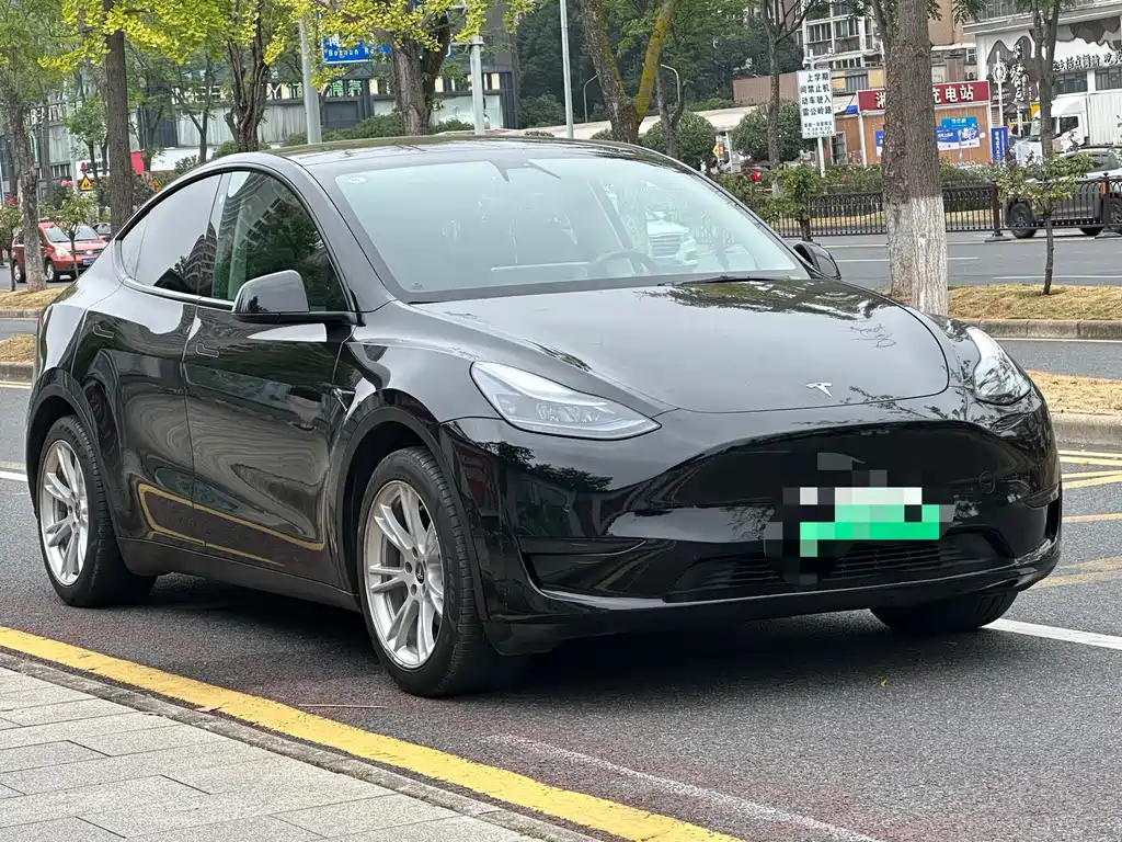 Tesla Model Y — фото 3