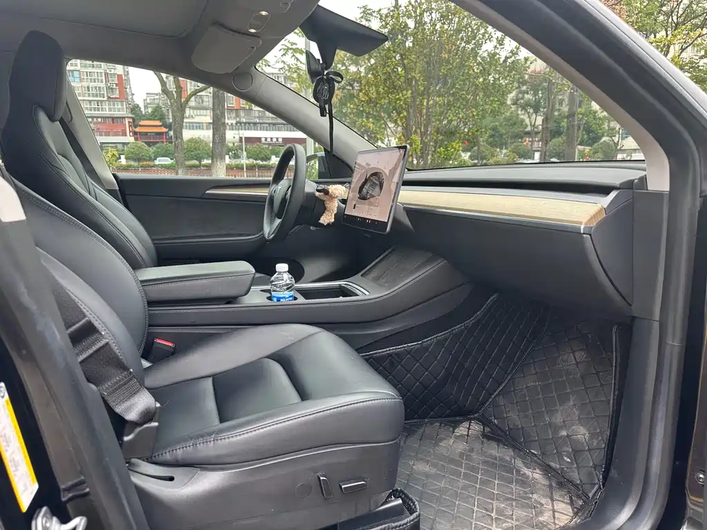 Tesla Model Y — фото 8