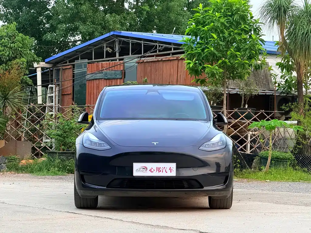 Tesla Model Y — фото 2
