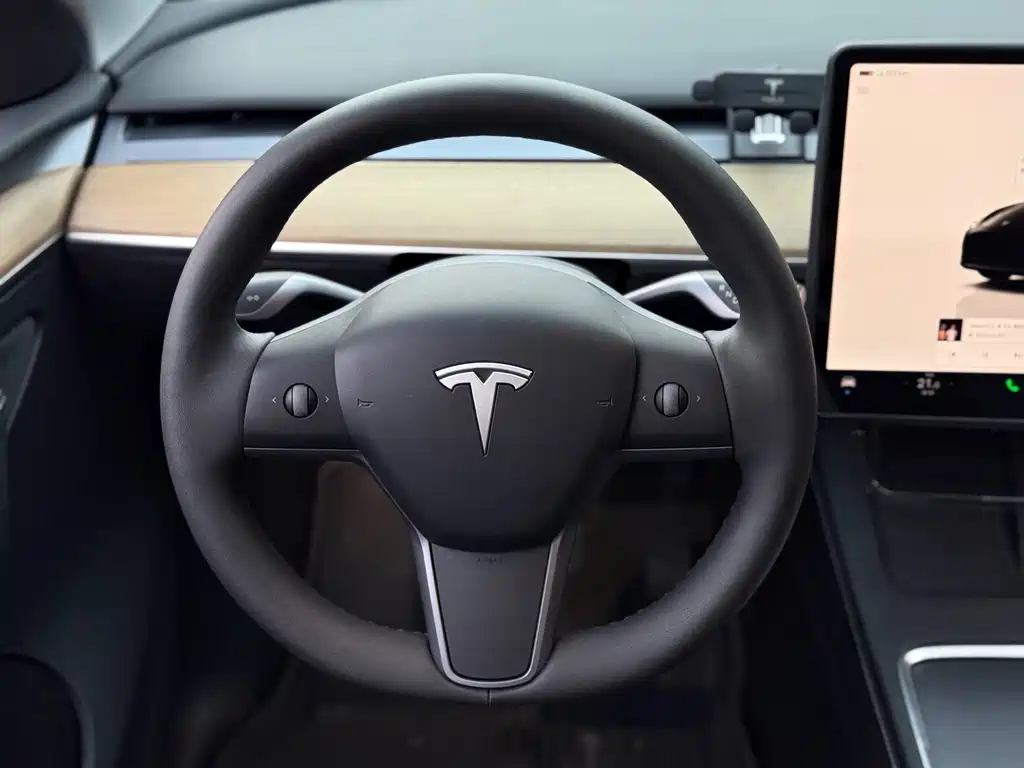 Tesla Model Y — фото 11