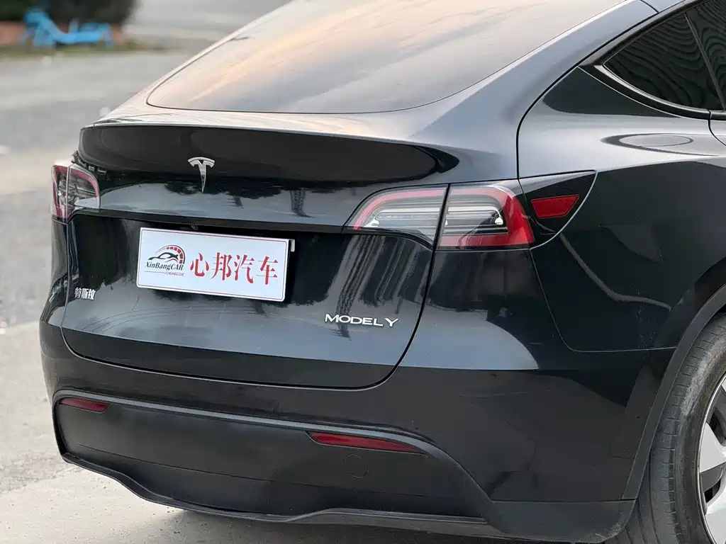 Tesla Model Y — фото 14