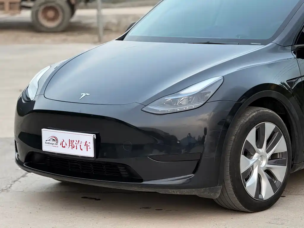 Tesla Model Y — фото 17