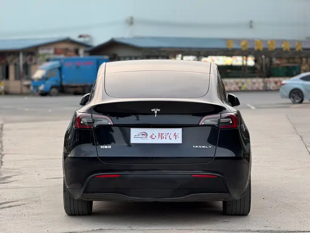 Tesla Model Y — фото 18