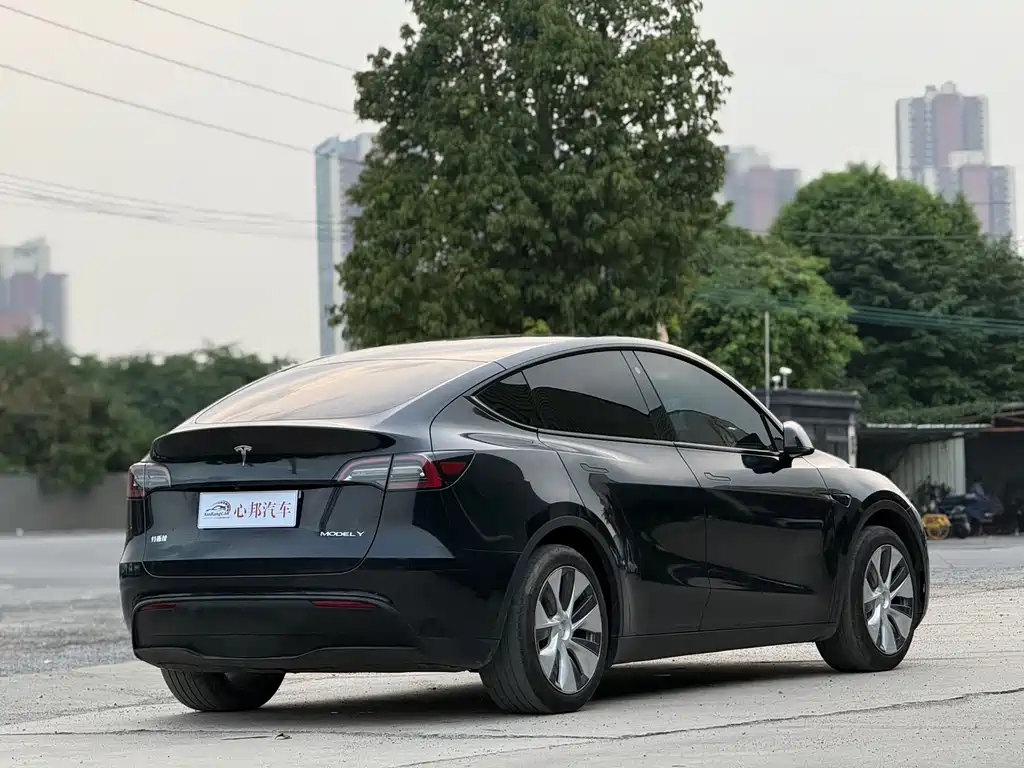 Tesla Model Y — фото 19