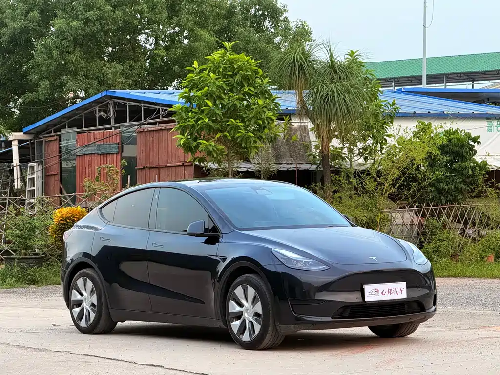 Tesla Model Y — фото 3