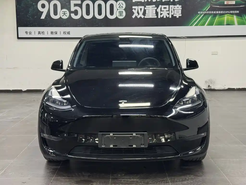 Tesla Model Y — фото 2