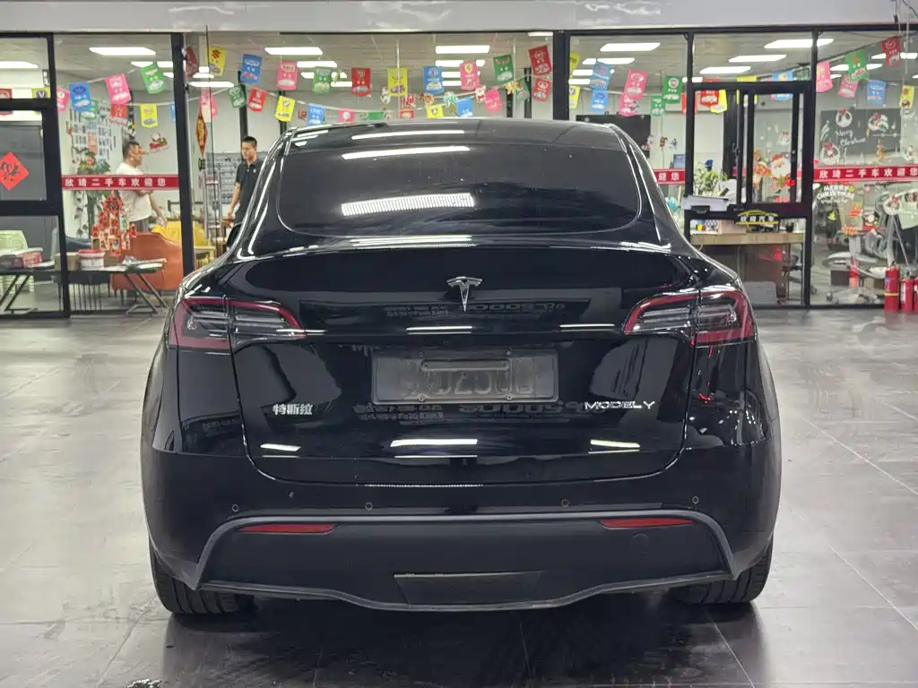 Tesla Model Y — фото 18