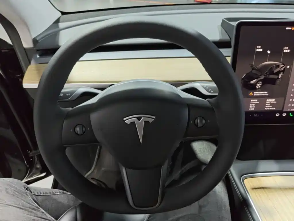 Tesla Model Y — фото 11