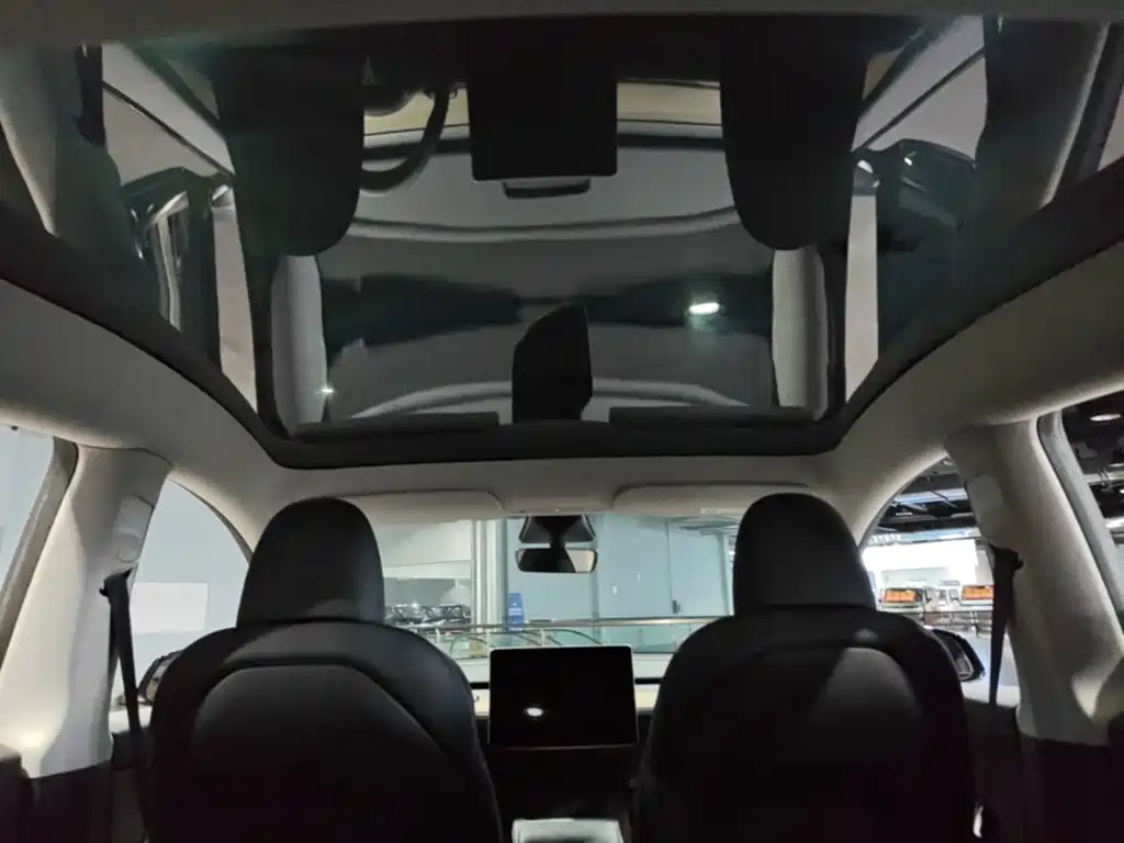 Tesla Model Y — фото 18