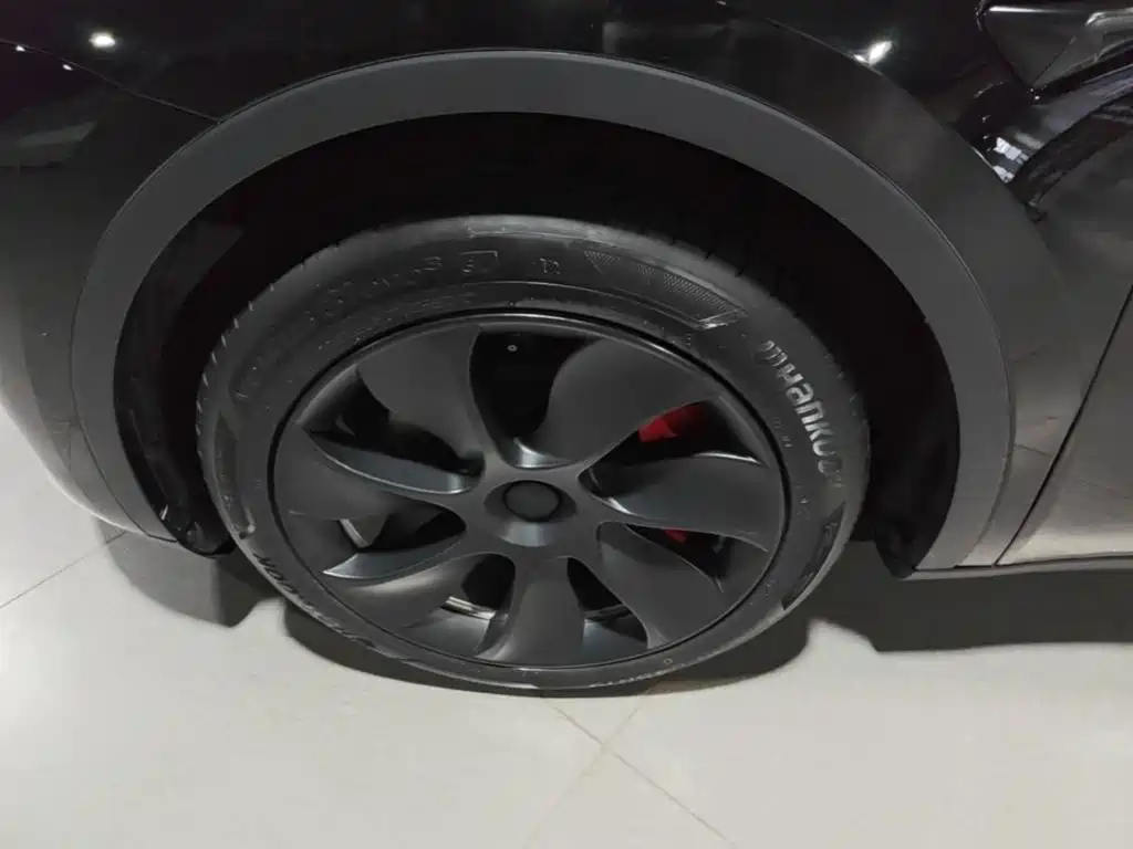 Tesla Model Y — фото 23