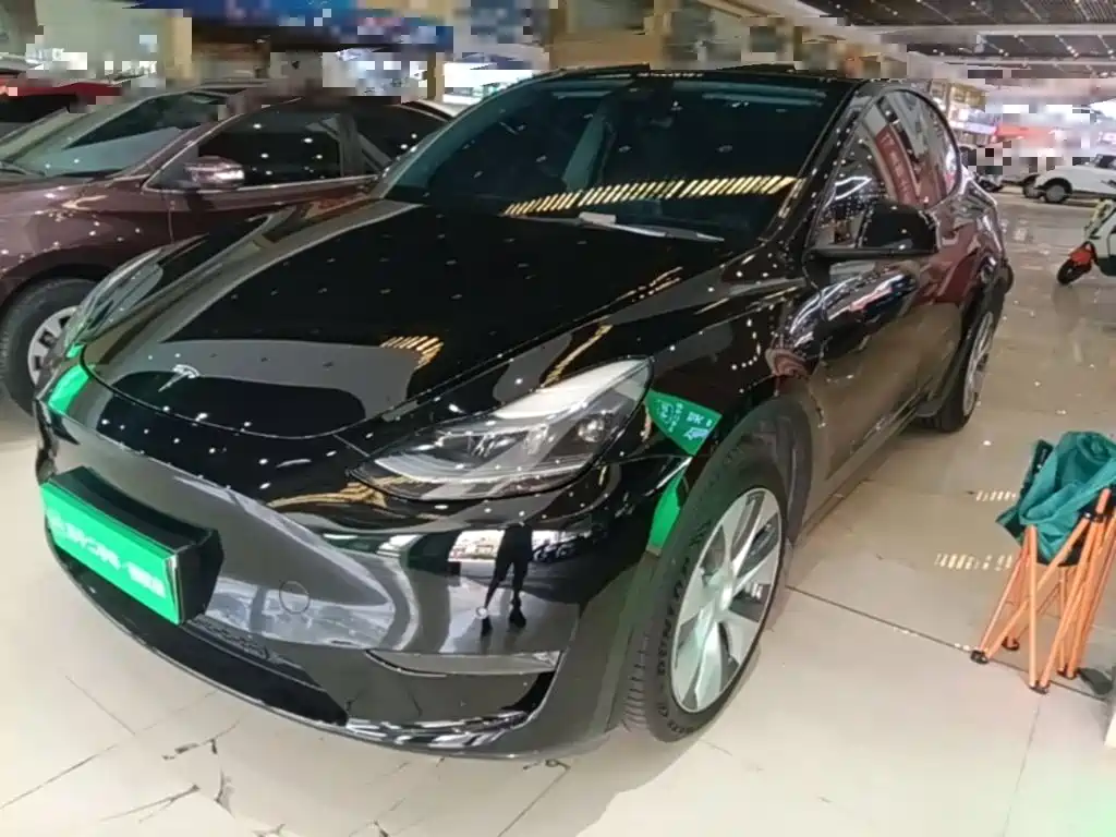 Tesla Model Y — фото 2