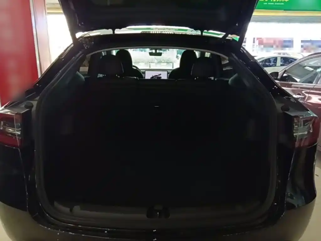 Tesla Model Y — фото 19