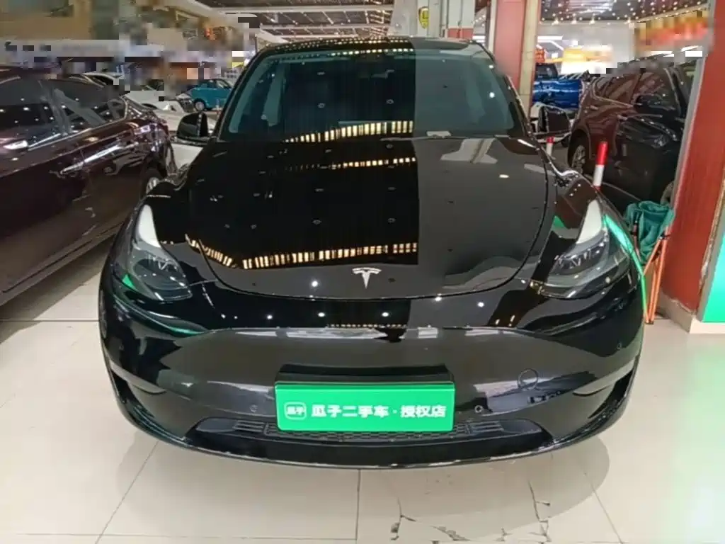 Tesla Model Y — фото 3