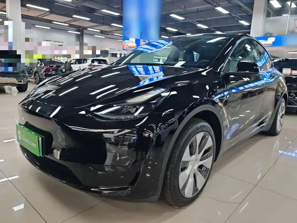 Tesla Model Y — фото 2