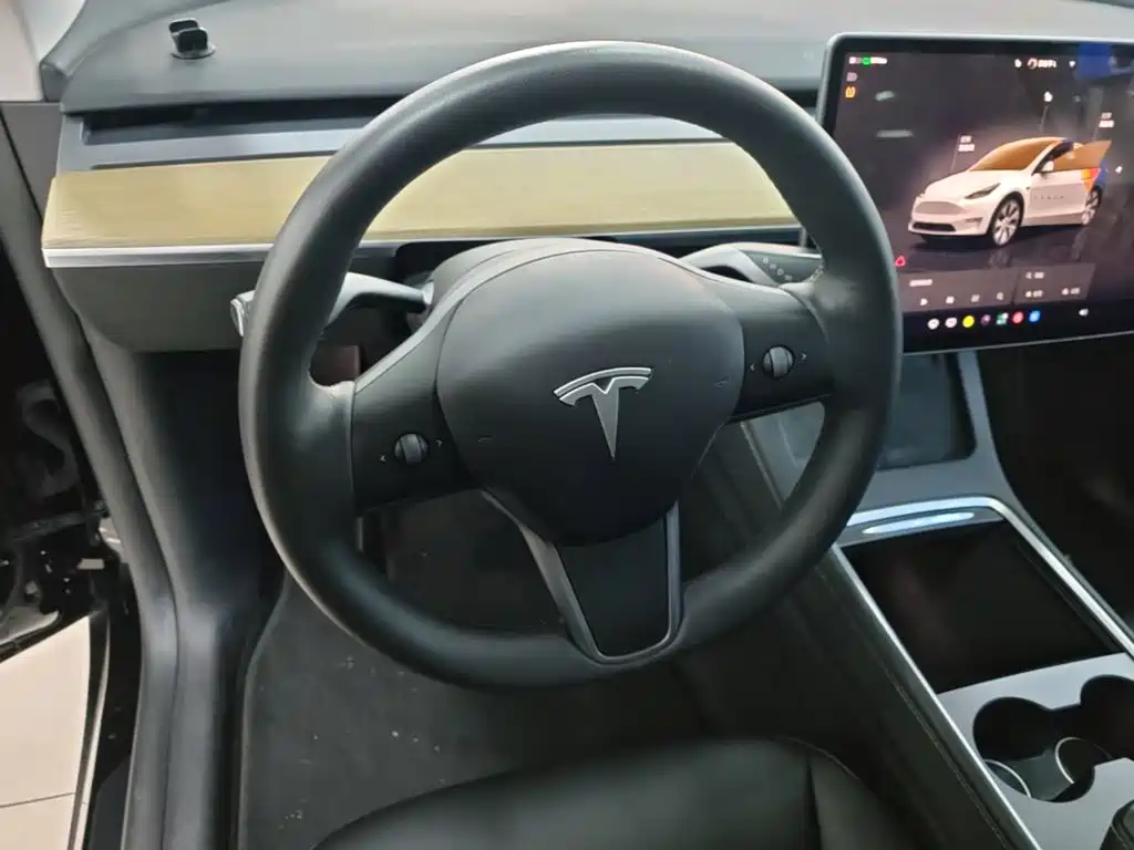 Tesla Model Y — фото 11