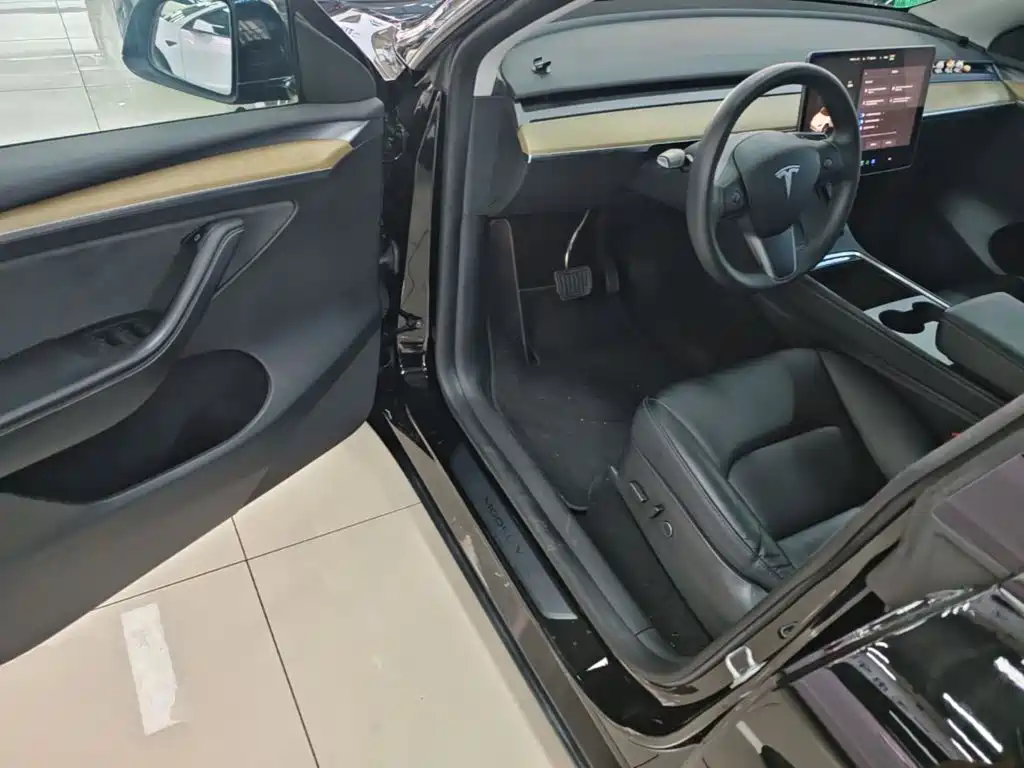 Tesla Model Y — фото 16