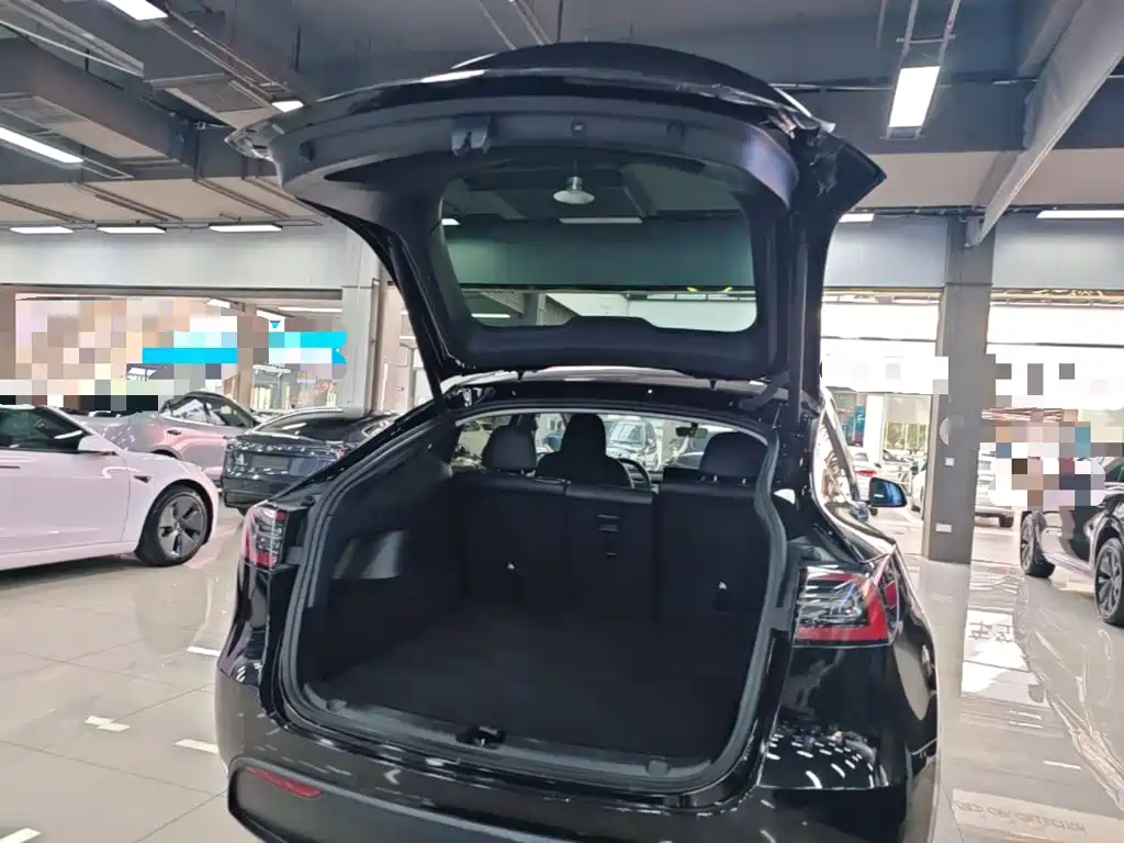Tesla Model Y — фото 19