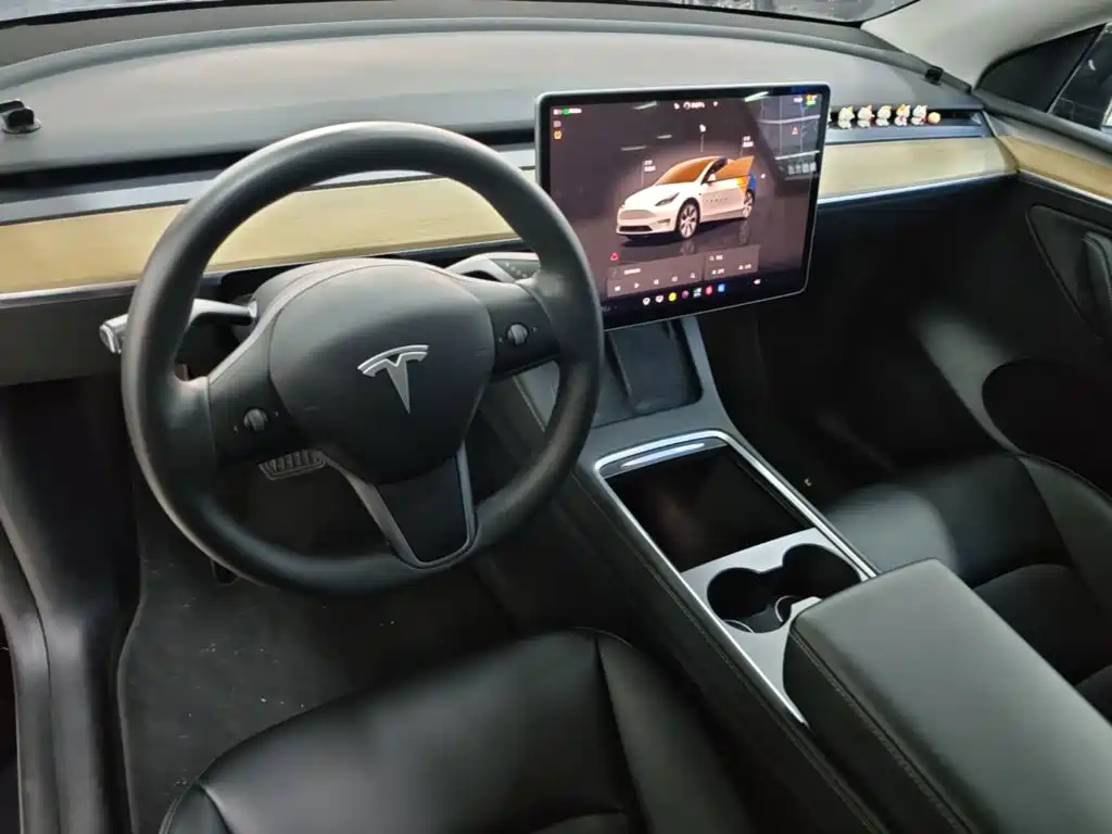 Tesla Model Y — фото 10