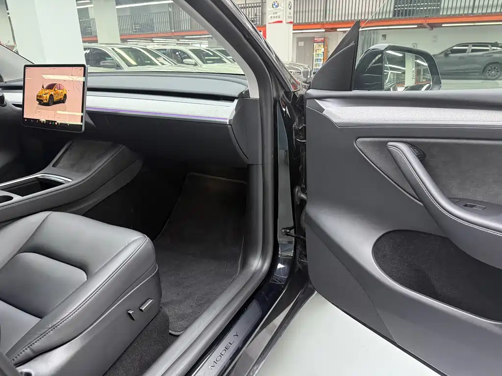 Tesla Model Y — фото 20